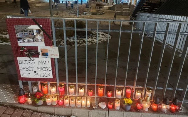 Oblíbený kocour Mikeš bude mít v Modřanech bronzovou sochu, lidé se na ni skládají ve sbírce. Poslali už přes sto tisíc