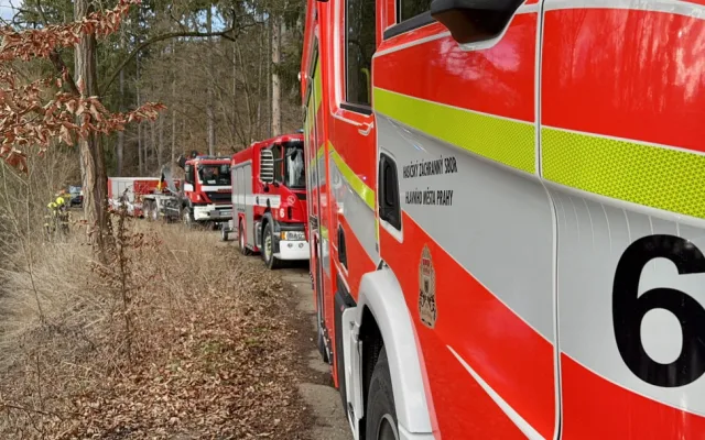 Do Kunratického potoka unikla neznámá látka a zasáhla pět hus. Museli je odchytit a dekontaminovat