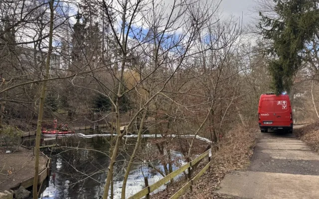 Do Kunratického potoka unikla neznámá látka a zasáhla pět hus. Museli je odchytit a dekontaminovat