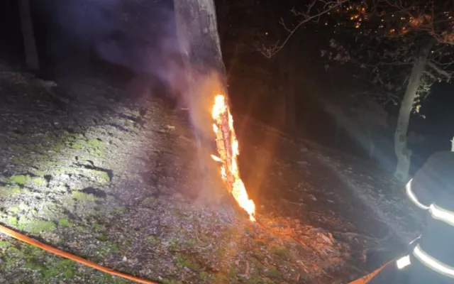 Policie dopadla mladíka, který se přiznal k zakládání požárů v Kunratickém lese.