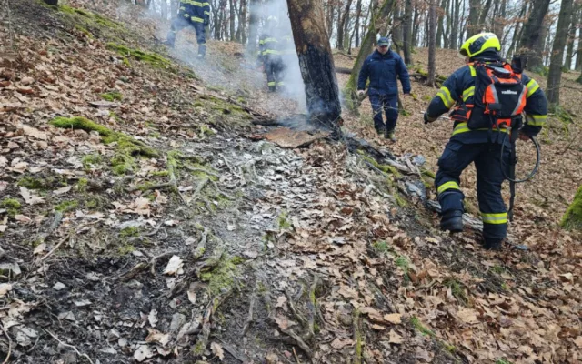 Policie dopadla mladíka, který se přiznal k zakládání požárů v Kunratickém lese.