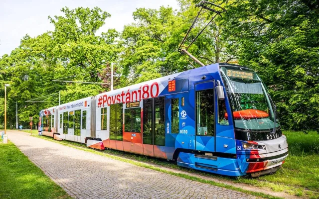 (c) Radoslav Vnencak