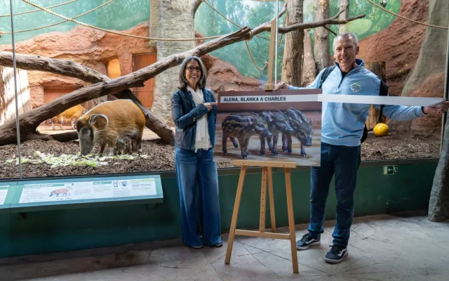 Alena, Blanka, Charles. Jména štětkounů v pražské zoo vybral americký astronaut Feustel