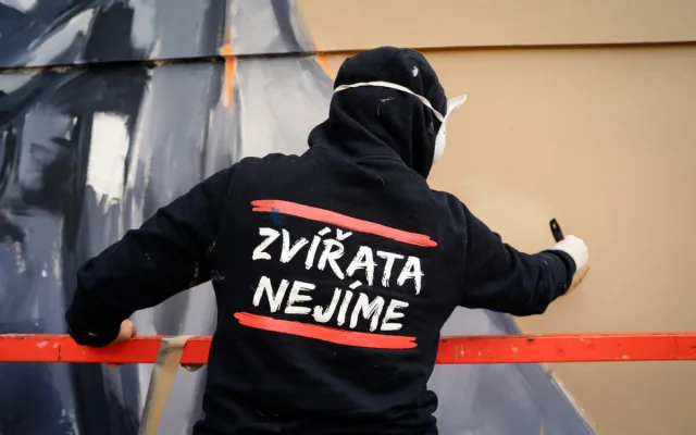 FOTOGALERIE: V Holešovicích tvoří Toy Box nový mural, připomene Miladu Horákovou