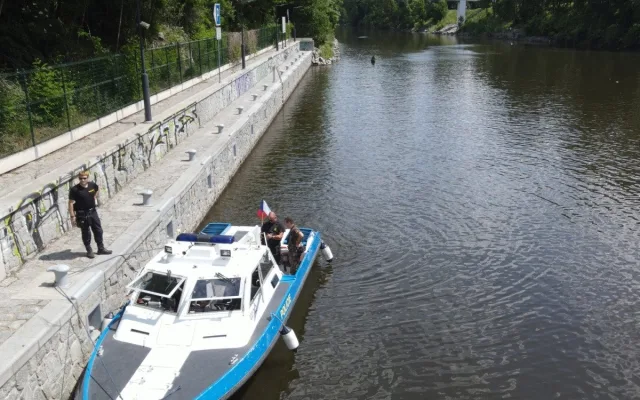 Z centra Prahy záhadně zmizelo 150 labutí. Plzeňští experti pátrají po jejich osudu