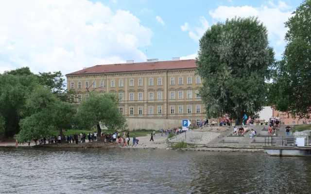 Z centra Prahy záhadně zmizelo 150 labutí. Plzeňští experti pátrají po jejich osudu