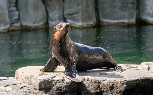 Zoo Praha