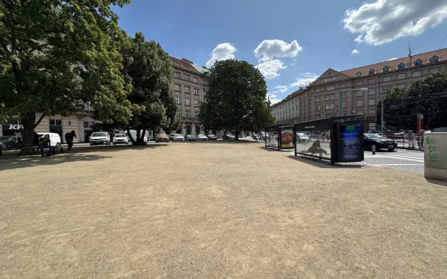 Místo cest vyšlapaných v trávě poušť. Lidé kritizují úpravu části Kulaťáku
