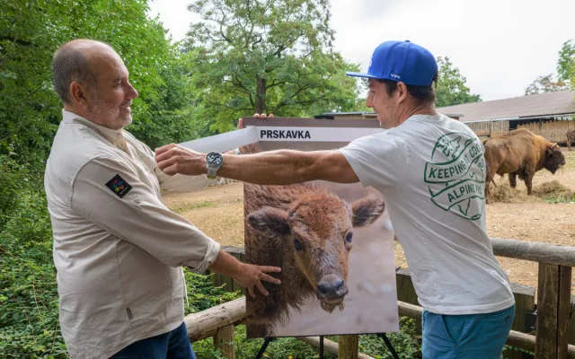 Jméno muselo podle plemenné knihy začínat na Pr.