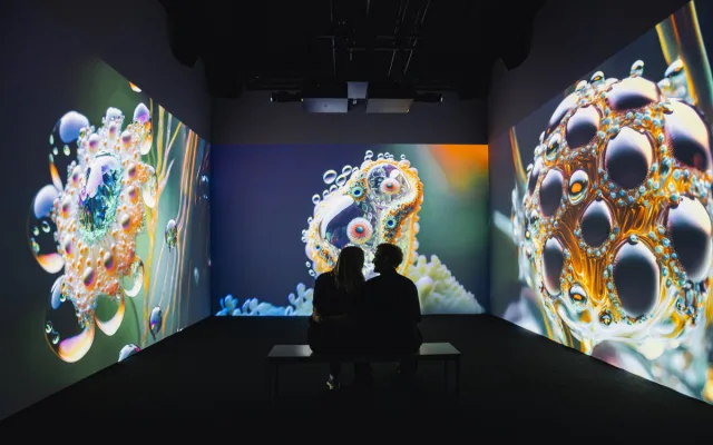 Ve Staroměstské tržnici je nově galerie digitálního umění, má i díla Signal Festivalu