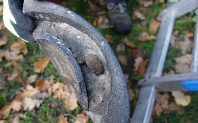 Ve Stromovce našli ochránci desítky netopýrů, jeden z nich měl sedmnáct samic