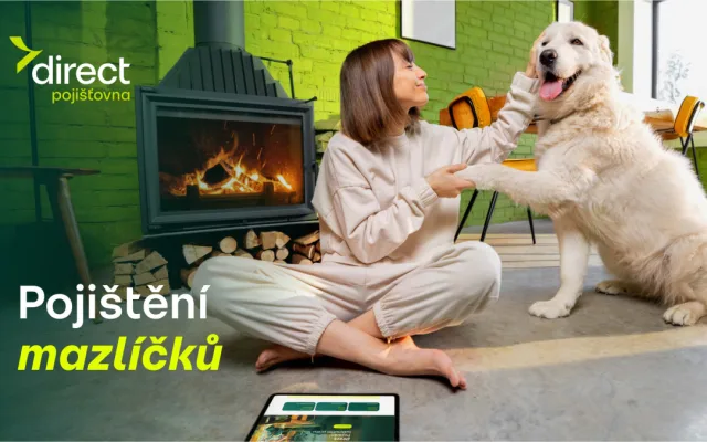 Pes spadl z gauče. Účet od veterináře vás překvapí