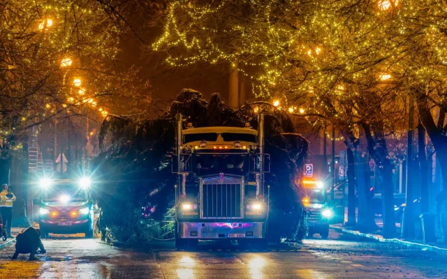 VIDEO: Vánoční strom už po malých problémech zdobí na Staromáku, rozsvítí ho v sobotu