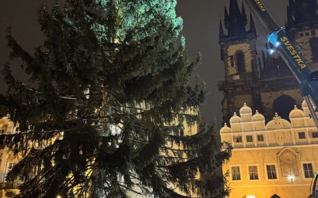 VIDEO: Vánoční strom už po malých problémech zdobí na Staromáku, rozsvítí ho v sobotu