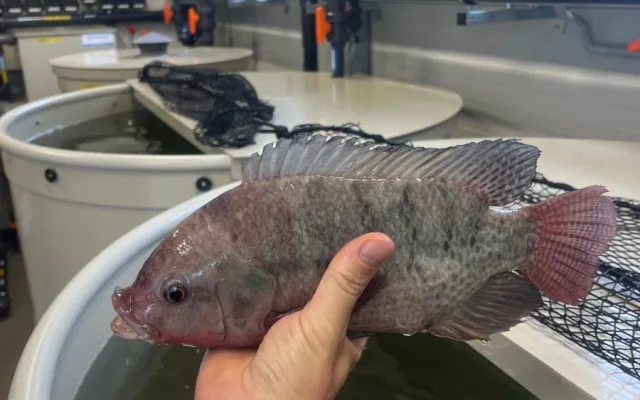 Střední rybářská škola otevřela novou aquaponickou učebnu
