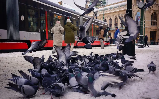 FOTO: Běžkařský trénink i dopravní kolaps. Sníh přinesl do Prahy radosti i trable