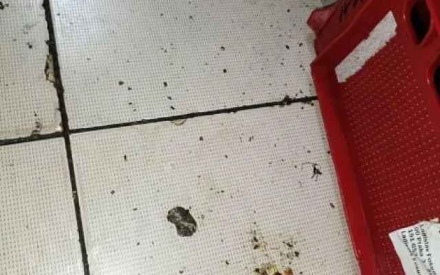 Plíseň, špína, žádný záchod. Restauraci v Praze kvůli desítce prohřešků hned zavřeli