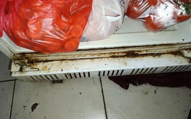 Plíseň, špína, žádný záchod. Restauraci v Praze kvůli desítce prohřešků hned zavřeli