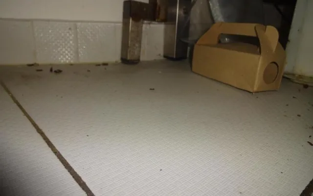 V restauraci u Karlova mostu běhali hlodavci, bobky našli i v kuchyni