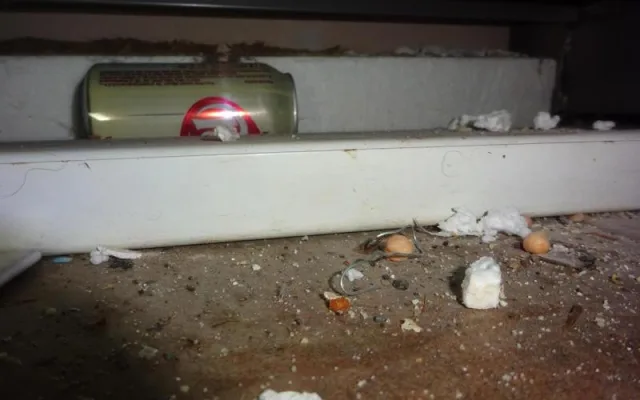 Večerka u Prahy byla plná myšího trusu. Hygienici ji dočasně uzavřeli