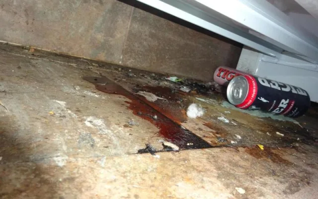 Večerka u Prahy byla plná myšího trusu. Hygienici ji dočasně uzavřeli