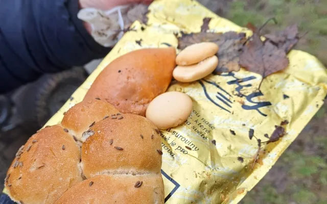Letňany řeší krmení holubů. Radnice varuje před potkany, lidé chtějí efektivní řešení