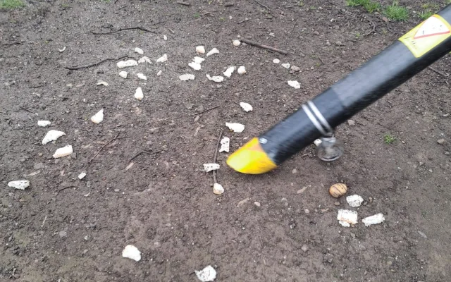 Letňany řeší krmení holubů. Radnice varuje před potkany, lidé chtějí efektivní řešení