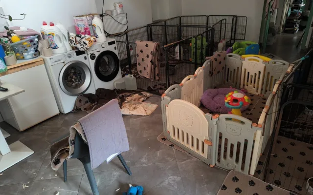 Veterináři objevili množírnu nedaleko Prahy. Živořilo v ní 150 psů