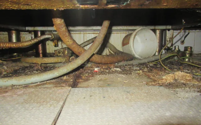 Myší bobky, plíseň, špína. Kuchyň Kolkovny na Malé Straně na místě zavřeli