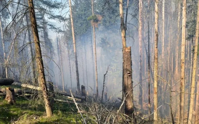 S požárem v Českém Švýcarsku bojují i hasiči z Prahy. Většina je z dobrovolných jednotek