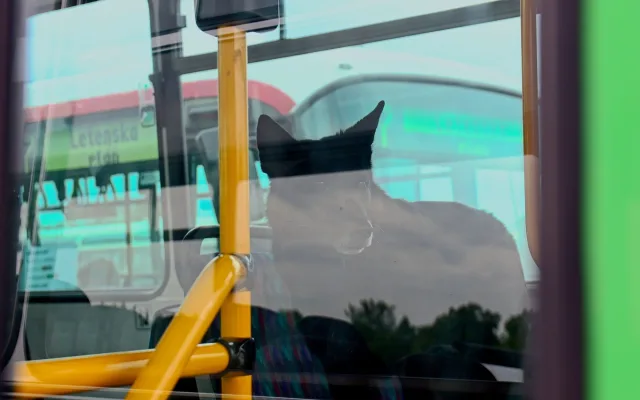 FOTO: Autobusový den PID na Letné přilákal fanoušky historických i moderních autobusů