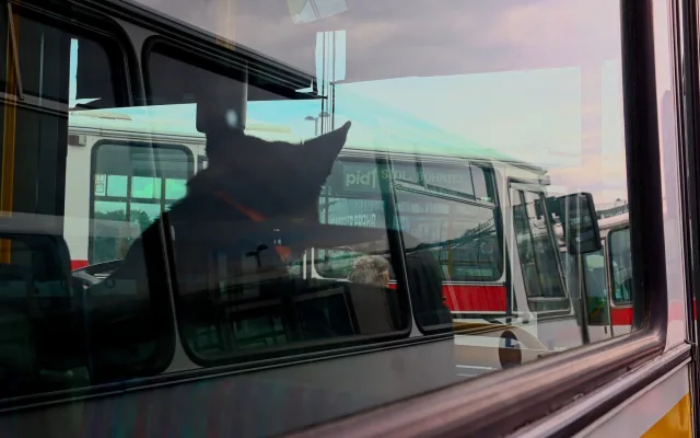 FOTO: Autobusový den PID na Letné přilákal fanoušky historických i moderních autobusů