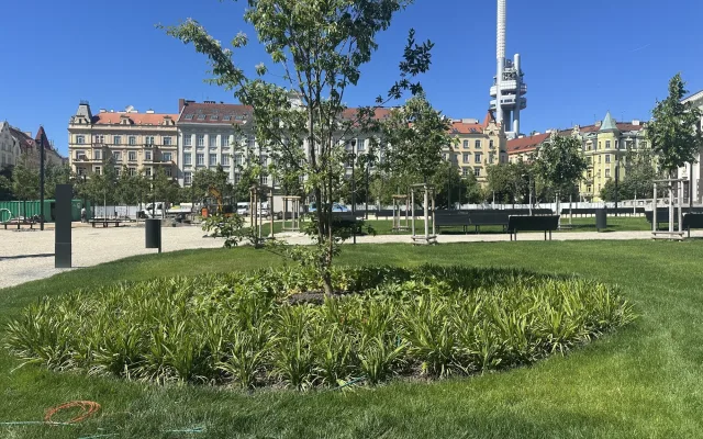 Přehřátá plocha bez zeleně? Na opravený Jiřák se snáší kritika, realita je ale jiná