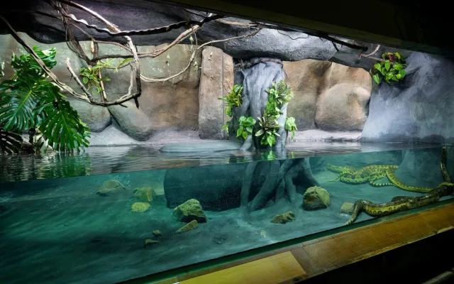 Zoo Praha