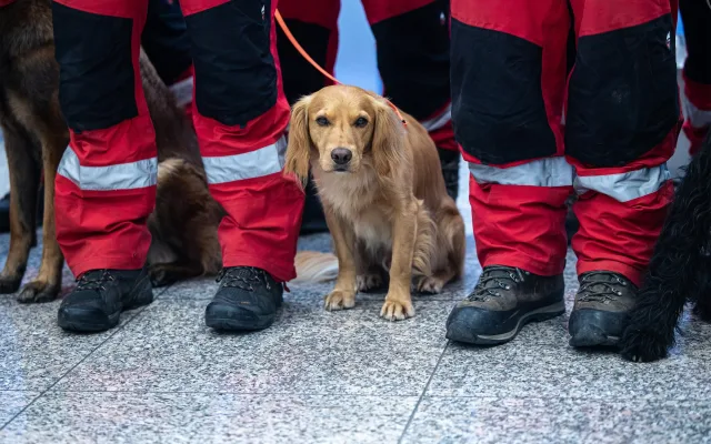 Velké horko a malá šance na záchranu. Psovod městské policie popsal zásah ve Venezuele