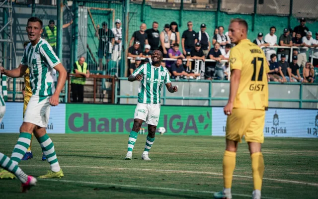 Vedení Bohemians vysvětlilo zoufalý stav trávníku. Řešit ho přišli odborníci