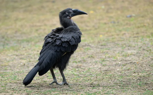 Zoo Praha
