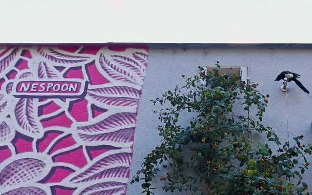 FOTO: Růžový mural na Žižkově je zatím nedokončený, autorka musela práci přerušit
