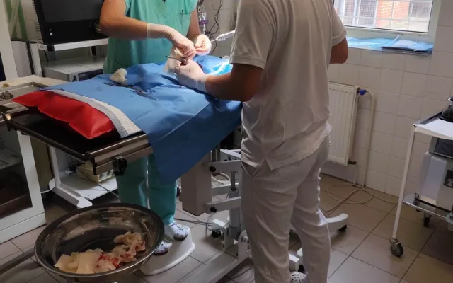 Pes opuštěný po pádu z balkonu musel na operaci, do nožky dostal hřeby