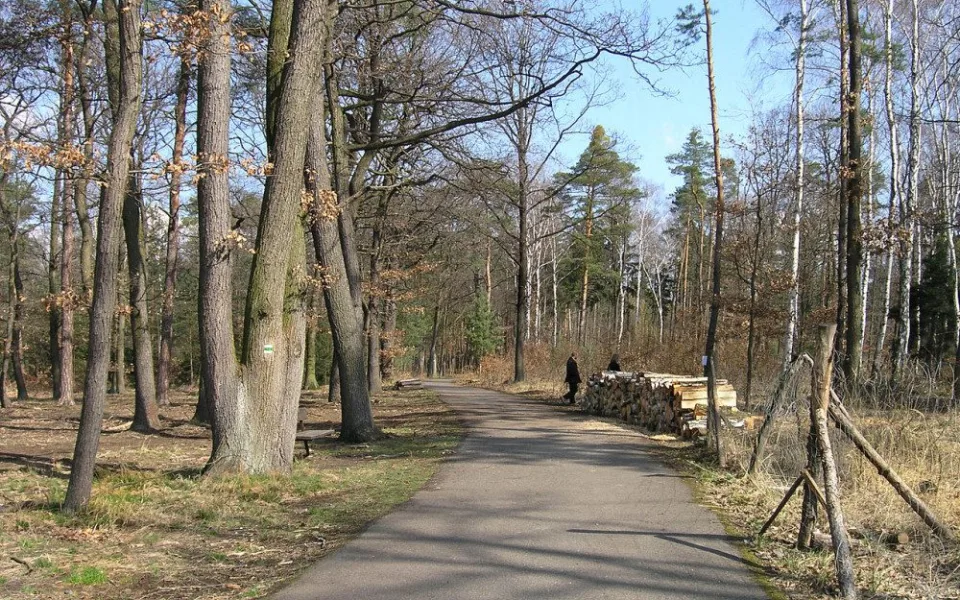 ilustrační foto