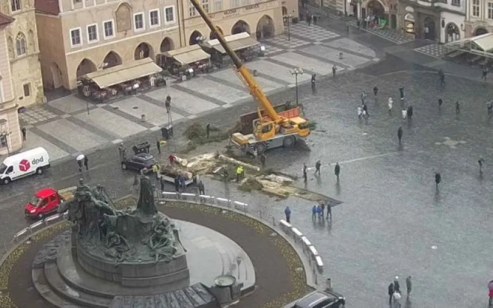Vánoční strom na Staromáku šel k zemi. Na větvích si pochutnají zvířata ze zoo