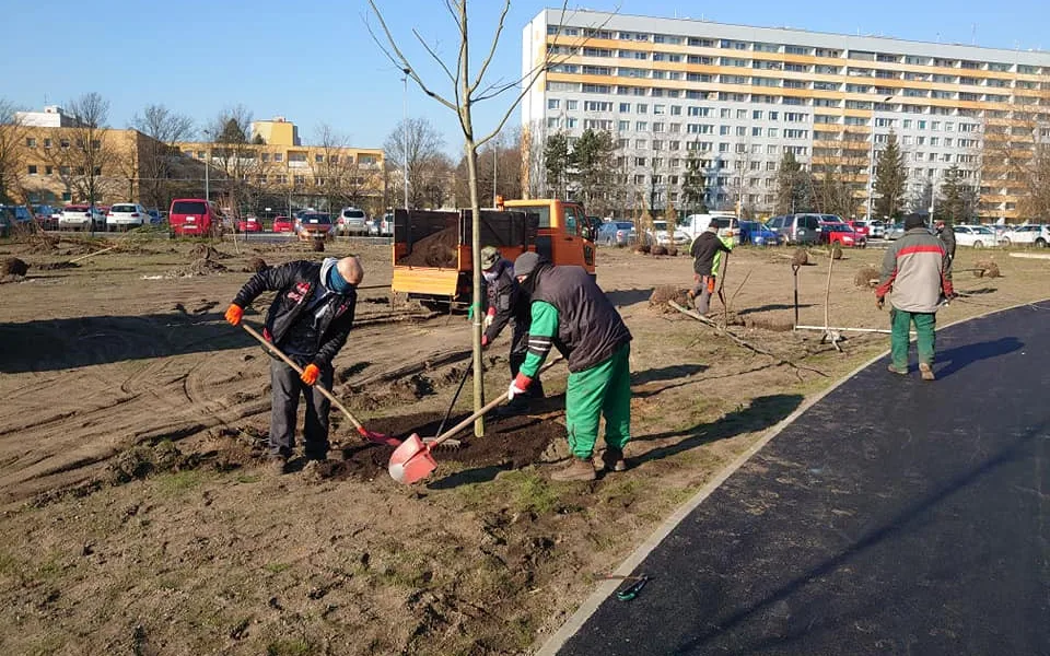 Parkoviště u Jiřetínské ulice se mění v park. Praha 9 vysazuje stromy