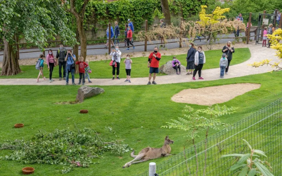 Zoo Praha