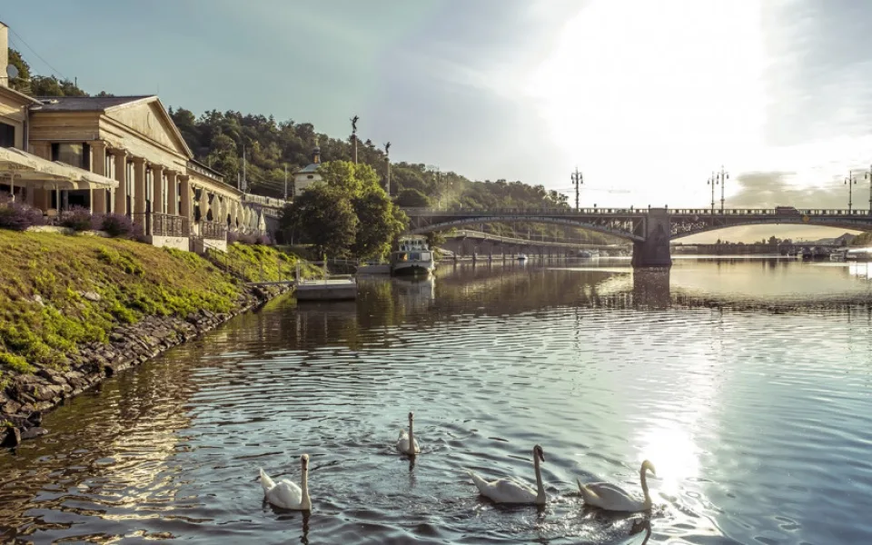 V sobotu startují nové Trhy na Plovárně. Nabídnou grilované ryby i vyjížďku parníkem zdarma