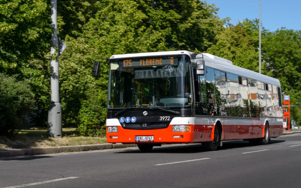 Autobus 175