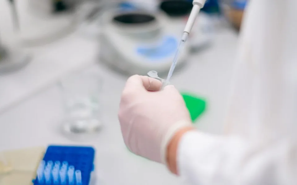 koronavirus