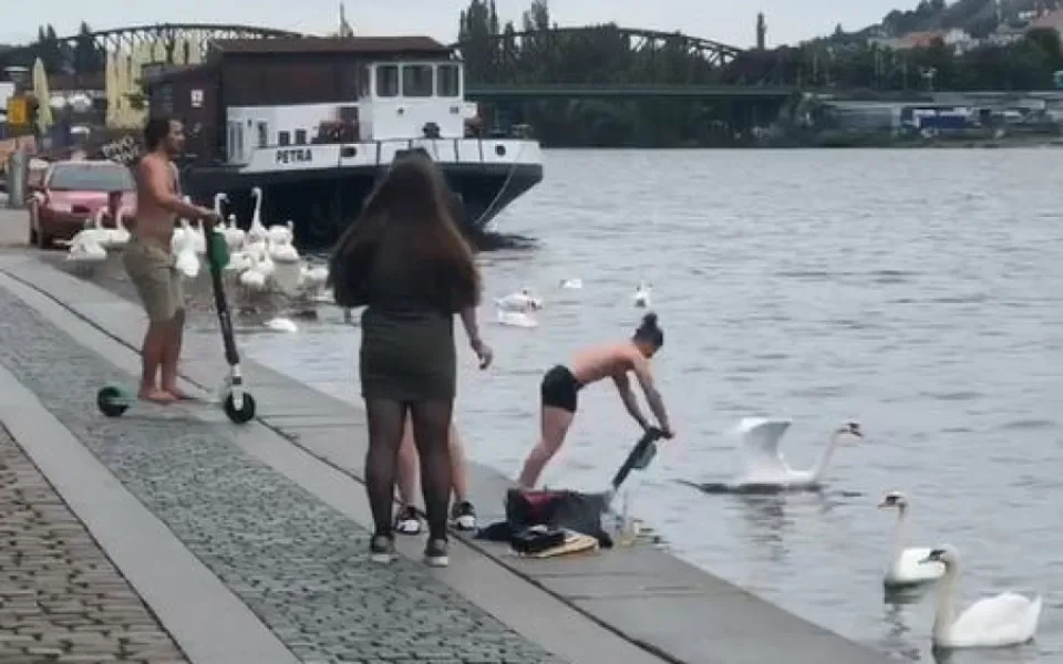 ANKETA: Mladíci skákali z koloběžek do Vltavy. Je to důvod k jejich zákazu?