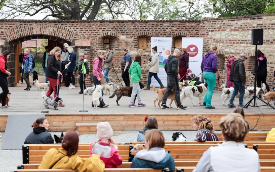 TÝDEN V PRAZE: Vyšehradský voříšek, koncert filmové hudby i interaktivní audiowalk Divadla Pomezí