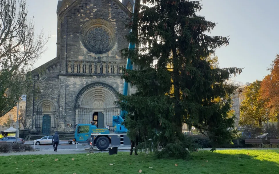 Vánoční strom na Karlínském náměstí, foto: FB Praha 8