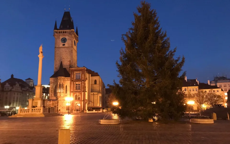 FOTO, VIDEO: Vánoční strom pro Prahu je na svém místě. Rozsvítí se o víkendu